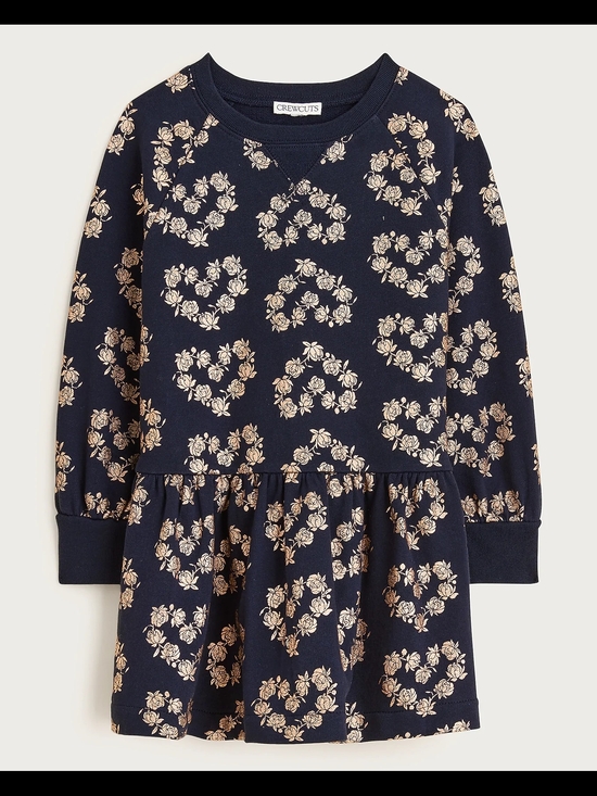 Crewcuts Other - Crewcuts Girls Floral Long Sleeves Sweatshirt Dress, 8, Blue/ Rose Gold
